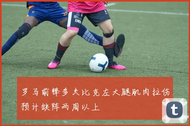 罗马前锋多夫比克左大腿肌肉拉伤预计缺阵两周以上